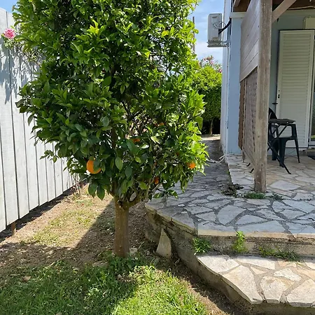 Tatil Evi Little Blue House